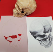 Load image into Gallery viewer, Skull looking down